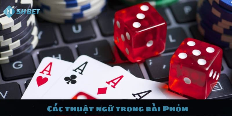 Cách Chơi Phỏm Online Đơn Giản Và Hiệu Quả Tại SHBET