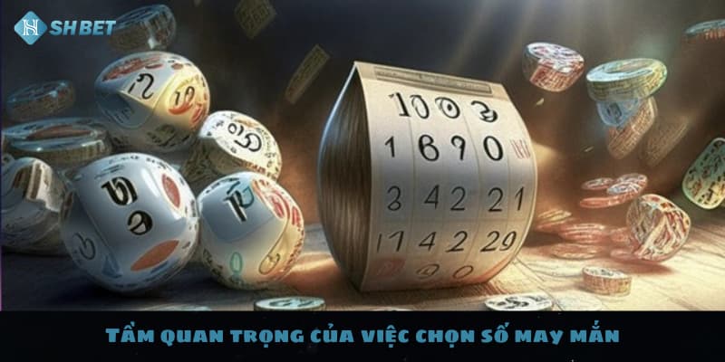 Tầm quan trọng của việc chọn số may mắn